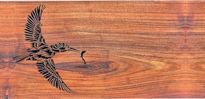 Fiona Kingdon - Artist In Wood Kingfisher - Greetings Card